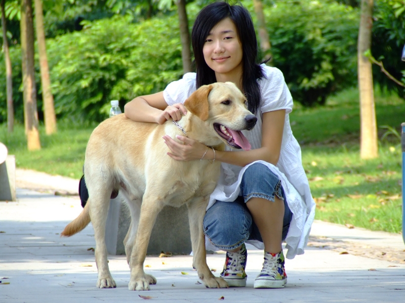 风中的绿叶的第一张照片--闽侯相亲服务中心