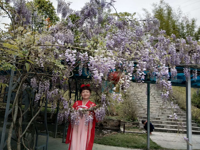 莉莉的第一张照片--闽侯相亲服务中心