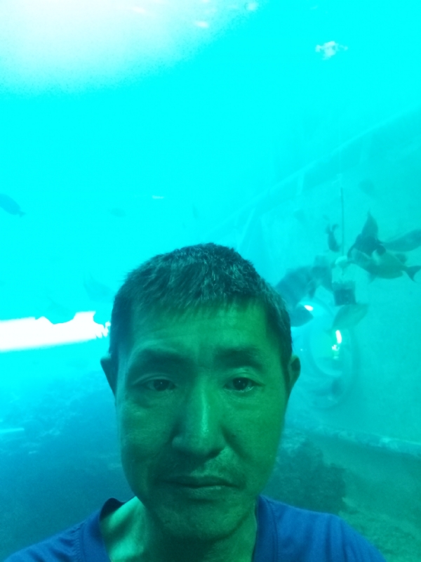 陸戰隊的第一张照片--闽侯相亲服务中心