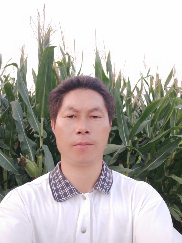 四海游龙的第一张照片--闽侯相亲服务中心