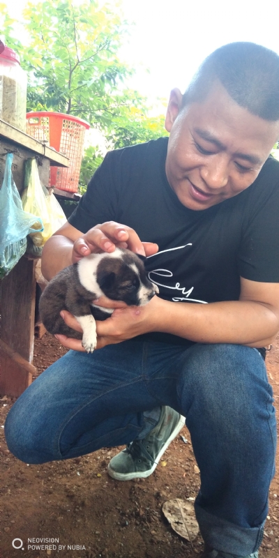 深圳相亲的第一张照片--闽侯相亲服务中心