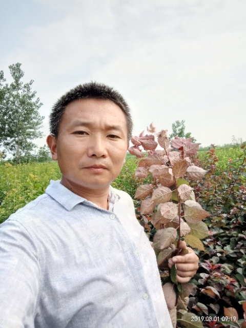 孩子爸的第一张照片--闽侯相亲服务中心