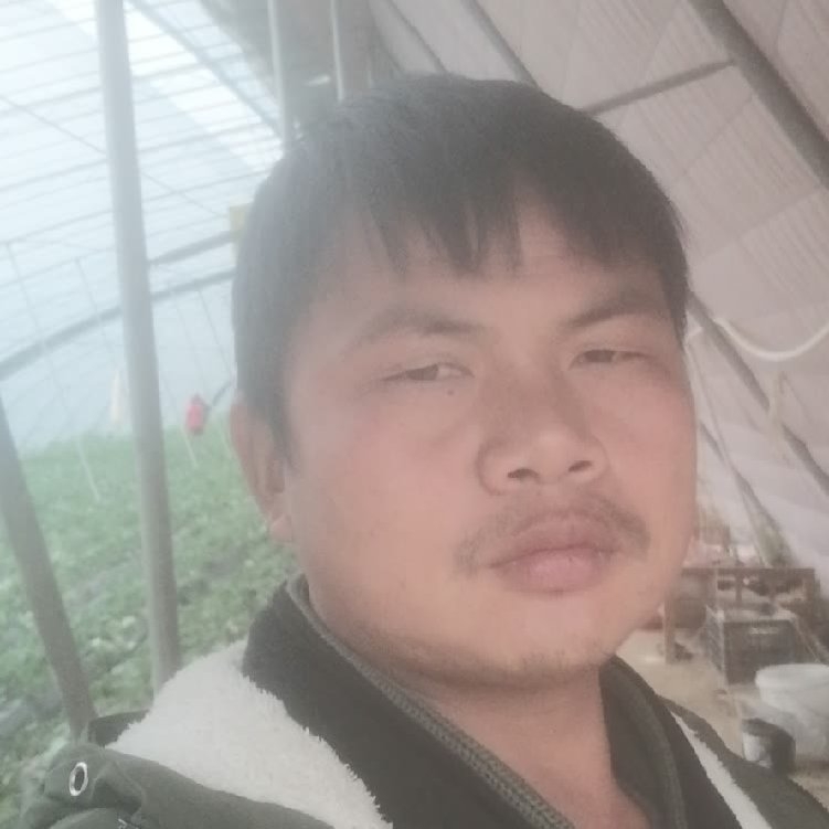 孤狼‘的第一张照片--闽侯相亲服务中心