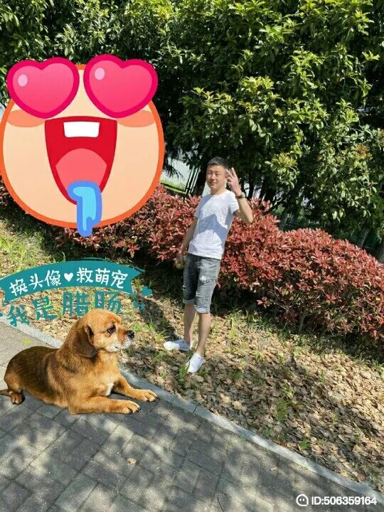 我若不坚强谁替我勇敢的第一张照片--闽侯相亲服务中心