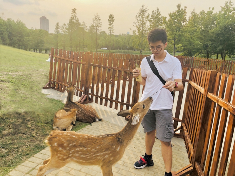 米兰的小铁匠的第一张照片--闽侯相亲服务中心