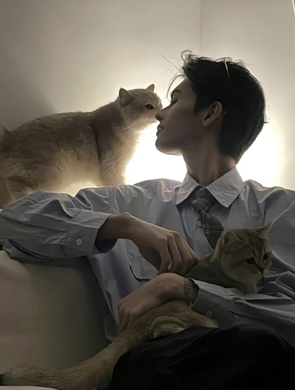 怪猫的第一张照片--闽侯相亲服务中心