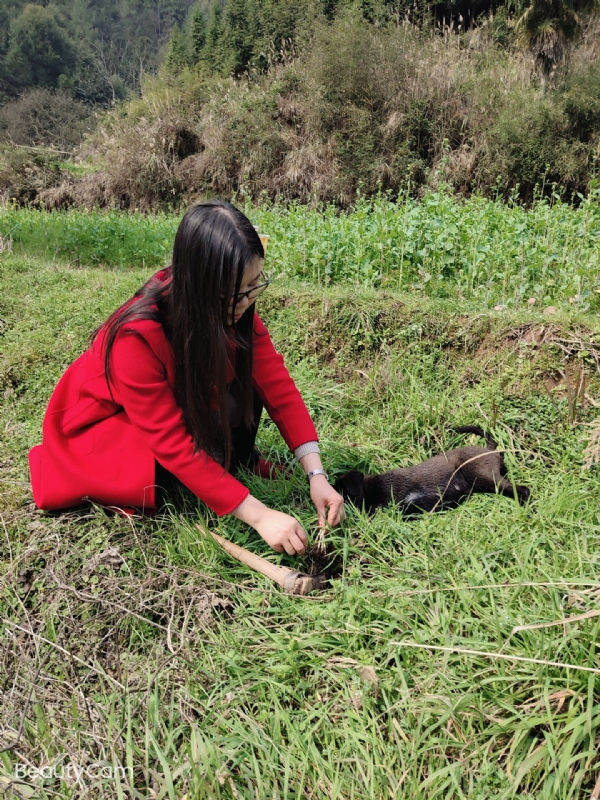 下一个春和秋的第一张照片--闽侯相亲服务中心