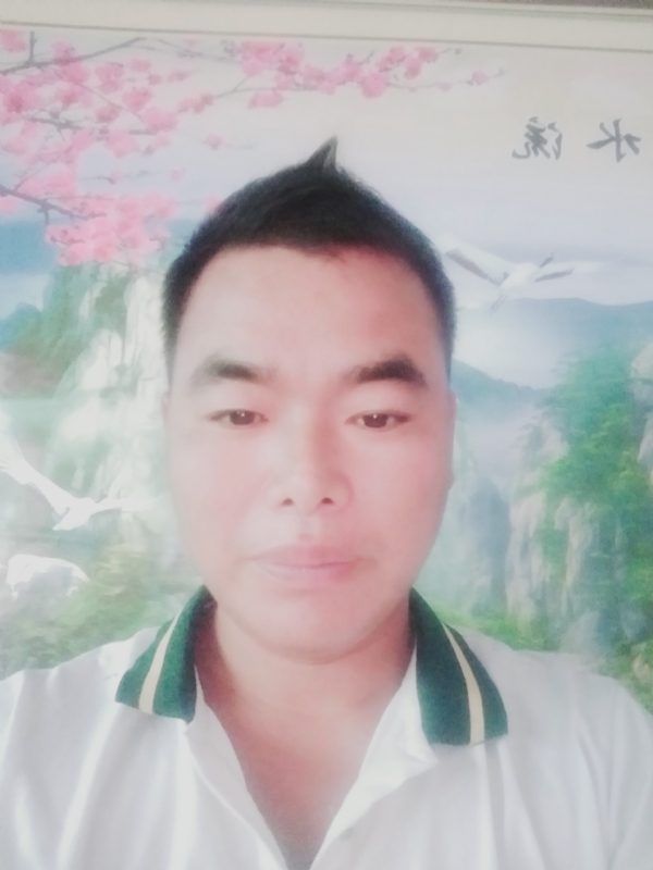 阳光男孩的第二张照片--闽侯相亲服务中心