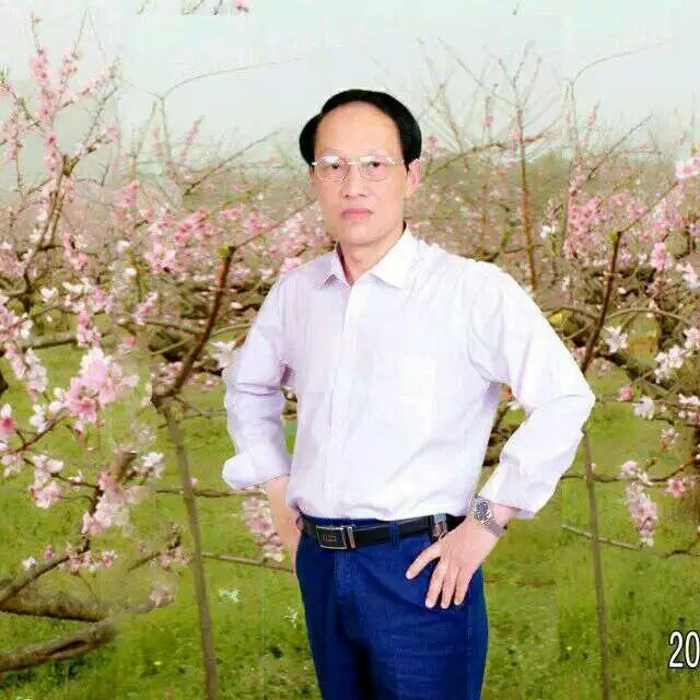 枫叶的第一张照片--闽侯相亲服务中心