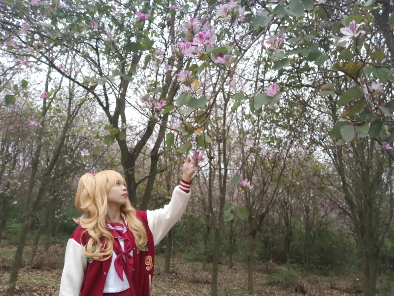 暮秋的第二张照片--闽侯相亲服务中心