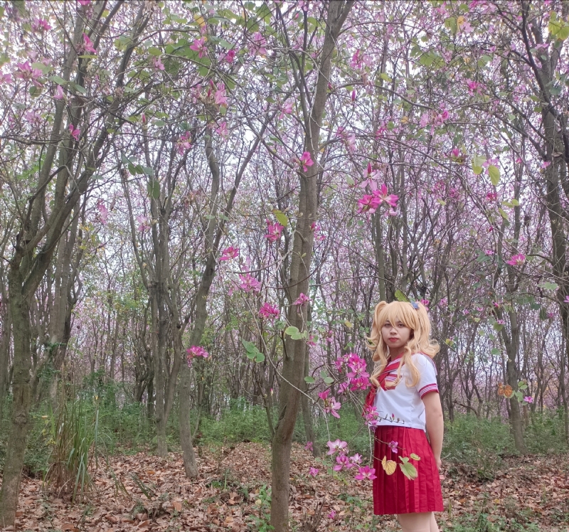 暮秋的第三张照片--闽侯相亲服务中心