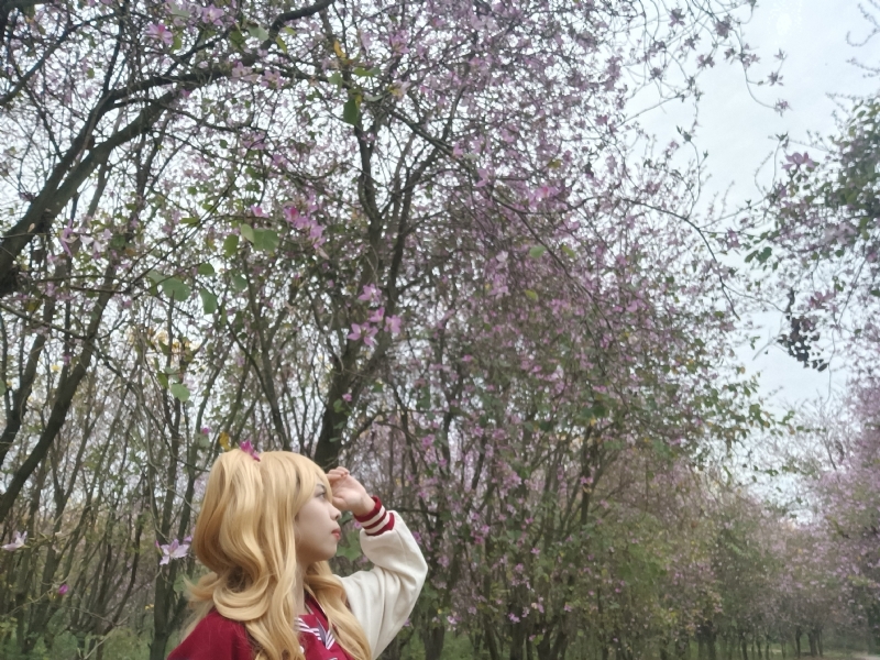 暮秋的第五张照片--闽侯相亲服务中心