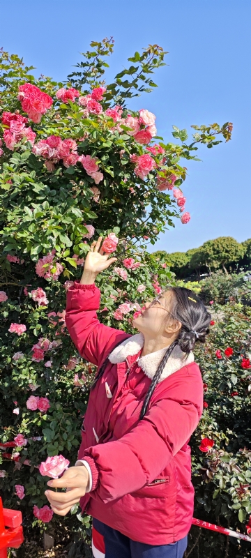 狗狗的第一张照片--闽侯相亲服务中心