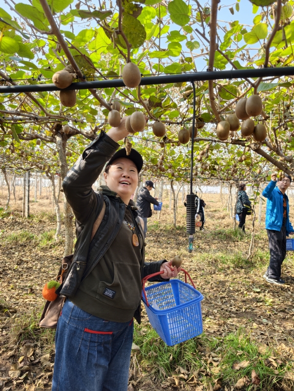 夜莺的第三张照片--闽侯相亲服务中心